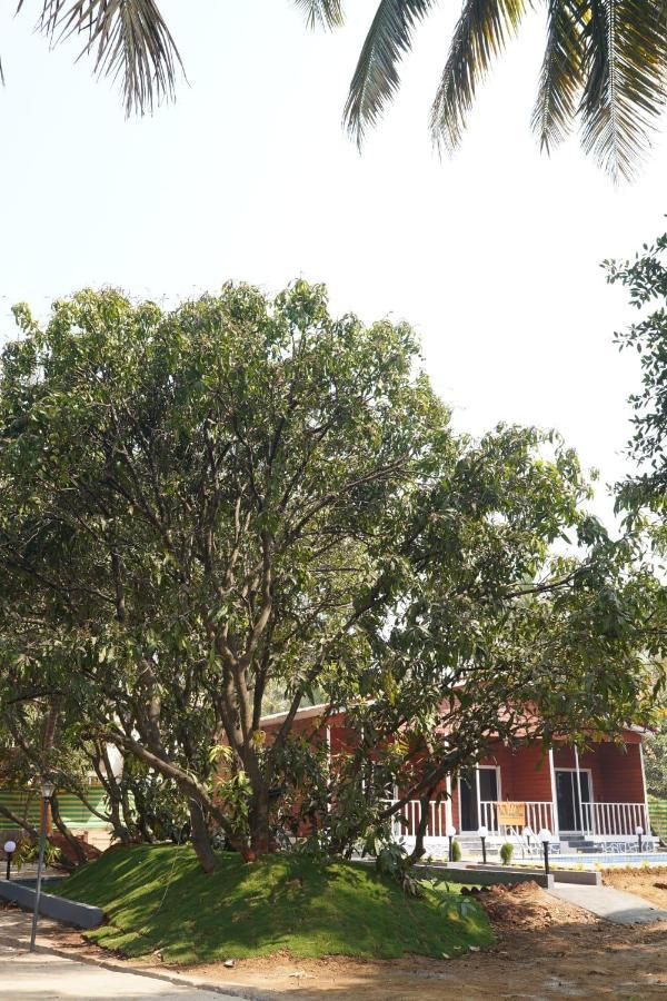אליבג The Mango Leaf Homestay מראה חיצוני תמונה